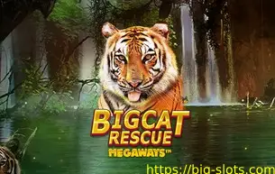 Big Cat Rescue Megaways