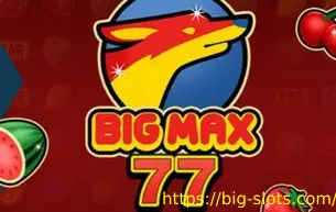 Big Max 77