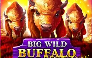 Big Wild Buffalo
