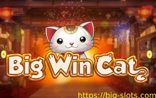 Big Win Cat
